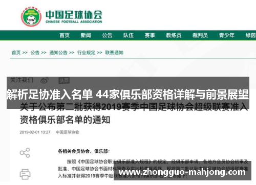 解析足协准入名单 44家俱乐部资格详解与前景展望