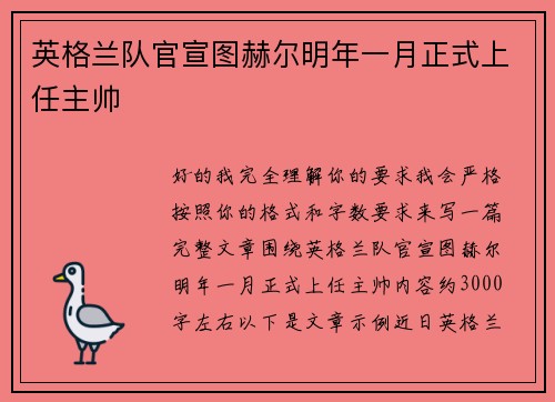 英格兰队官宣图赫尔明年一月正式上任主帅